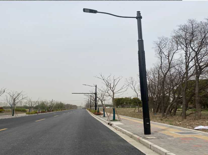 平安区上海综合杆 太阳能路灯工程